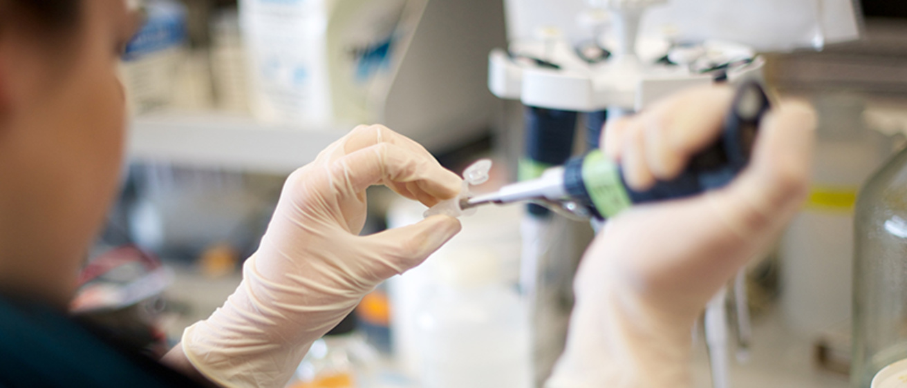 Close up of lab work